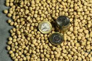 Dollars banknotes and coins and soy beans, commoditi value concept. photo