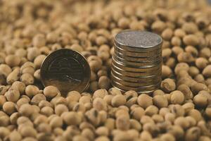 Dollars banknotes and coins and soy beans,oleaginous commoditi value concept. photo