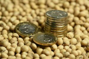 Dollars banknotes and coins and soy beans,oleaginous commoditi value concept. photo