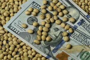 Dollars banknotes and coins and soy beans,oleaginous commoditi value concept. photo