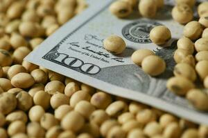 Dollars banknotes and coins and soy beans, commoditi value concept. photo