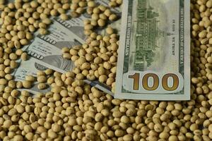 Dollars banknotes and coins and soy beans, commoditi value concept. photo