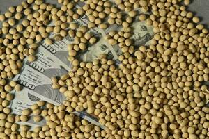 Dollars banknotes and coins and soy beans,oleaginous commoditi value concept. photo