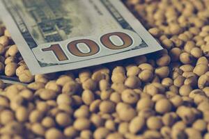 Dollars banknotes and coins and soy beans,oleaginous commoditi value concept. photo