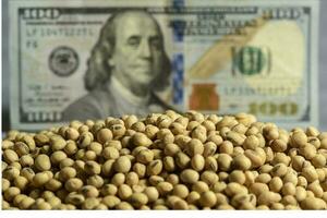 Dollars banknotes and coins and soy beans, commoditi value concept. photo