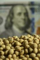 Dollars banknotes and coins and soy beans, commoditi value concept. photo