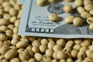 Dollars banknotes and coins and soy beans, commoditi value concept. photo