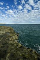 Coastal landscape with cliffs in Peninsula Valdes, World Heritage Site, Patagonia Argentina photo