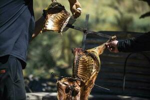 Lamb on the spit, cooked with the traditional Argentine method, La Pampa province, Patagonia, Argentina. photo