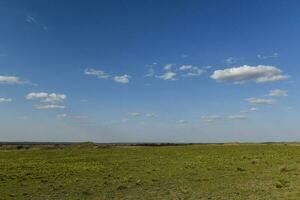 pampa césped paisaje, la pampa provincia, Patagonia, argentina. foto