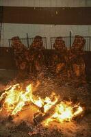 Gaucho roast barbecue, sausage and cow ribs, traditional argentine cuisine, Patagonia, Argentina. photo