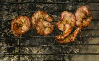 Cow bowels presented on a grill. Argentine Traditional cuisine. photo