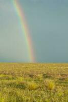 Rural landscape and rainbow,Buenos Aires province , Argentina photo