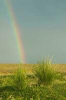 rural paisaje y arco iris, buenos aires provincia , argentina foto