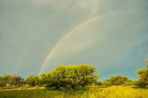 Pampas countryside landscape, La Pampa province, Patagonia, Argentina. photo