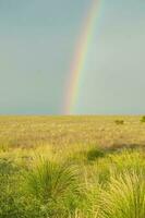 rural paisaje y arco iris, buenos aires provincia , argentina foto