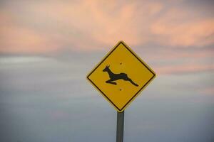 Route sign  in Peninsula Valdes, Chubut Province, Patagonia, Argentina. photo