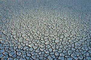 roto suelo en pampa ambiente , la pampa provincia, Patagonia, argentina. foto