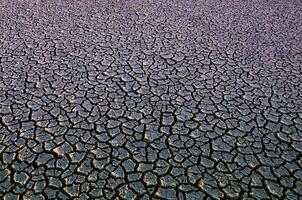 Broken soil in Pampas environment , La pampa Province, Patagonia, Argentina. photo