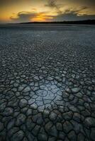 Broken dry soil in a Pampas lagoon, La Pampa province, Patagonia, Argentina. photo