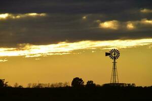 Landscape with windmill at sunset, Pampas, Patagonia,Argentina photo