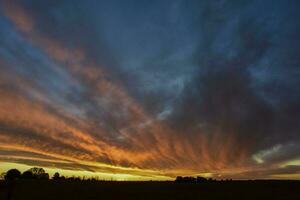 Landscape with windmill at sunset, Pampas, Patagonia,Argentina photo