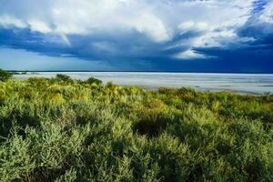 Broken dry soil in a Pampas lagoon, La Pampa province, Patagonia, Argentina. photo