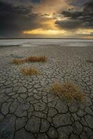 Broken dry soil in a Pampas lagoon, La Pampa province, Patagonia, Argentina. photo