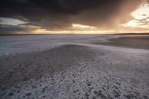 Broken dry soil in a Pampas lagoon, La Pampa province, Patagonia, Argentina. photo