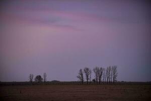 Landscape with windmill at sunset, Pampas, Patagonia,Argentina photo