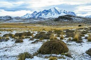 Mountain landscape environment, Torres del Paine National Park, Patagonia, Chile. photo