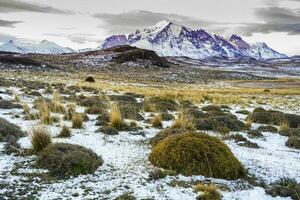 Mountain landscape environment, Torres del Paine National Park, Patagonia, Chile. photo