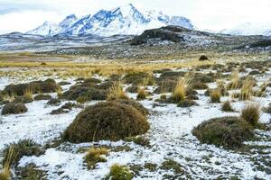 Mountain landscape environment, Torres del Paine National Park, Patagonia, Chile. photo