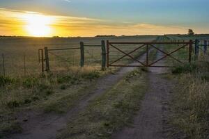 campo puerta en campo, buenos aires provincia, Patagonia , argentina foto