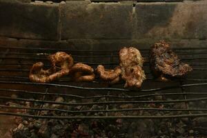 Cow bowels presented on a grill. Argentine Traditional cuisine. photo