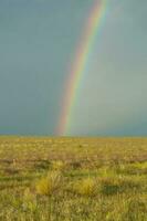 Rural landscape and rainbow,Buenos Aires province , Argentina photo