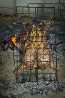 Lamb on the spit, Patagonia, Argentina. photo