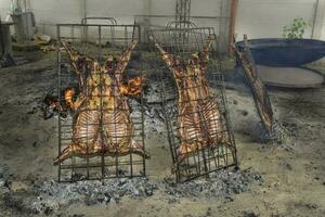 Lamb on the spit, Patagonia, Argentina. photo