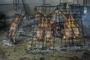 Lamb on the spit, Patagonia, Argentina. photo