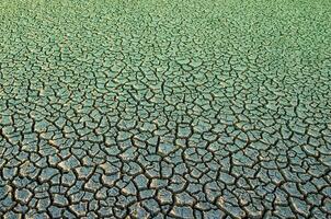 Broken soil in Pampas environment , La pampa Province, Patagonia, Argentina. photo