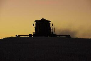 Harvester machine, harvesting in the Argentine countryside, Buenos Aires province, Argentina. photo