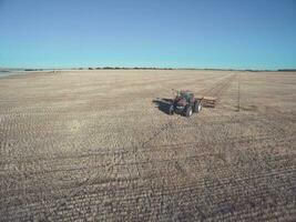 tractor y sembradora, directo siembra en el pampa, argentina foto