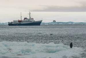 Expedition ship, cruise in Antarctic landscape, Paulet island, near the Antarctic Peninsula photo