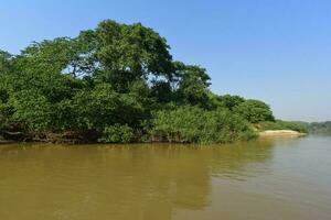 río paisaje y selva,pantanal, Brasil foto