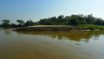 River landscape  and jungle,Pantanal, Brazil photo