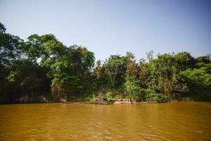 río paisaje y selva,pantanal, Brasil foto