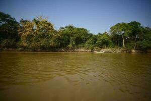 River landscape  and jungle,Pantanal, Brazil photo