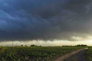 Threatening storm clouds, Pampas, Patagonia, Argentina photo