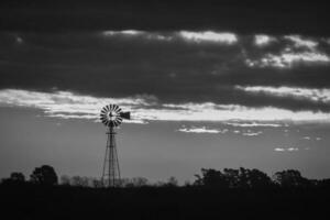 Landscape with windmill at sunset, Pampas, Patagonia,Argentina photo