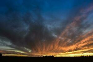 Landscape with windmill at sunset, Pampas, Patagonia,Argentina photo